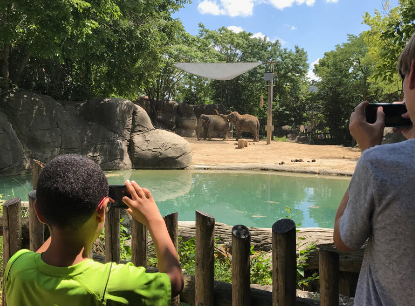 Cincinnati Zoo & Botanical Garden, United States